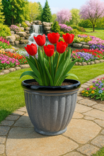 Afbeelding in Gallery-weergave laden, Badminton grey pot planter - Marissa&#39;s Garden &amp; Gift
