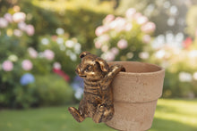Load image into Gallery viewer, Polyresin pair of bronze coloured pigs pot hangers
