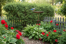 Laden Sie das Bild in den Galerie-Viewer, Handmade Blue tit bronze powder coated bird feeder for garden/outdoor
