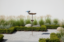 Laden Sie das Bild in den Galerie-Viewer, Handmade Blue tit bronze powder coated bird feeder for garden/outdoor

