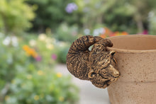 Load image into Gallery viewer, Polyresin pair of bronze coloured sheep pot hangers
