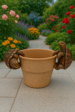 Load image into Gallery viewer, Polyresin pair of bronze coloured turtle pot hangers - Marissa's Garden &amp; Gift
