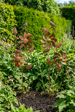 Laden Sie das Bild in den Galerie-Viewer, Bronze Bird Spinner garden ornament/windspinner - Marissa's Garden &amp; Gift
