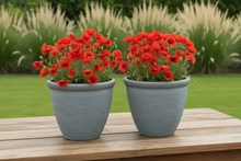 Laden Sie das Bild in den Galerie-Viewer, 26cm Chatsworth grey embossed pot x 2 pots - Marissa's Garden &amp; Gift
