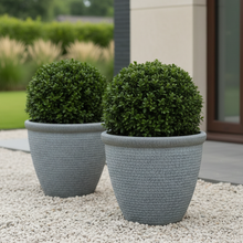 Laden Sie das Bild in den Galerie-Viewer, 26cm Chatsworth grey embossed pot x 2 pots - Marissa's Garden &amp; Gift

