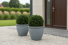 Laden Sie das Bild in den Galerie-Viewer, 26cm Chatsworth grey embossed pot x 2 pots - Marissa's Garden &amp; Gift
