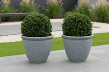 Laden Sie das Bild in den Galerie-Viewer, 26cm Chatsworth grey embossed pot x 2 pots - Marissa's Garden &amp; Gift
