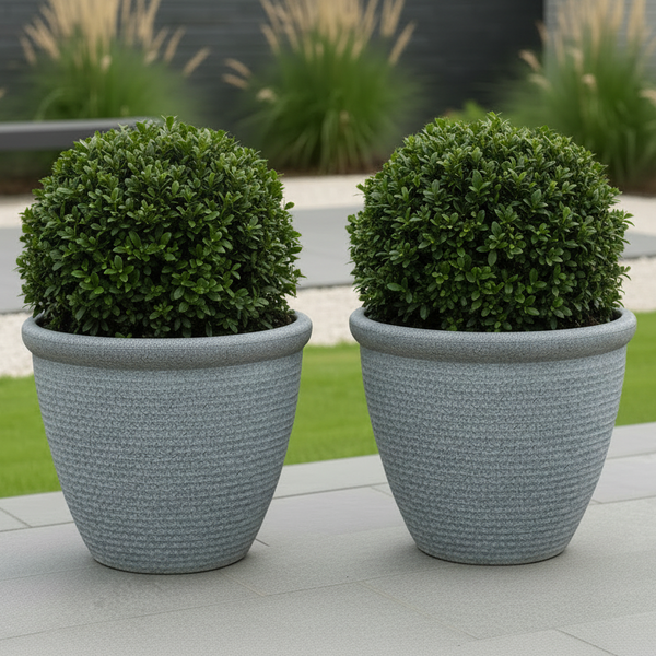 26cm Chatsworth grey embossed pot x 2 pots - Marissa's Garden & Gift