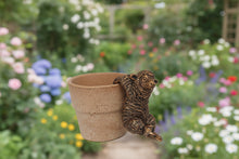 Load image into Gallery viewer, Polyresin pair of bronze coloured sheep pot hangers
