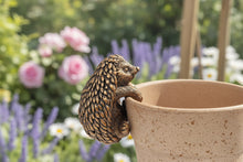 Laden Sie das Bild in den Galerie-Viewer, Polyresin pair of bronze coloured hedgehog pot hangers
