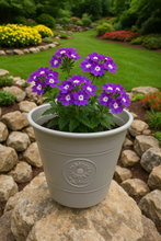 Load image into Gallery viewer, Sunflower coloured grey flower pot available in two sizes made out of recycled plastic - Marissa&#39;s Garden &amp; Gift
