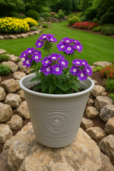 Sunflower coloured grey flower pot available in two sizes made out of recycled plastic - Marissa's Garden & Gift