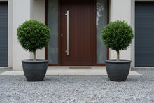 Laden Sie das Bild in den Galerie-Viewer, Wentworth black and silver coloured flower pot x 2 pots - Marissa's Garden &amp; Gift
