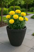 Charger l&#39;image dans la galerie, 26cm Chelsea black coloured flower pot - Marissa&#39;s Garden &amp; Gift
