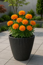 Charger l&#39;image dans la galerie, 26cm Chelsea black coloured flower pot - Marissa&#39;s Garden &amp; Gift
