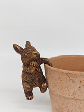 Load image into Gallery viewer, Polyresin pair of bronze coloured rabbit pot hangers - Marissa's Garden &amp; Gift
