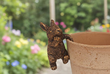 Afbeelding in Gallery-weergave laden, Polyresin pair of bronze coloured rabbit pot hangers
