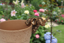 Load image into Gallery viewer, Polyresin pair of bronze coloured elephant pot hangers
