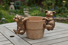 Load image into Gallery viewer, Polyresin pair of bronze coloured pigs pot hangers
