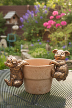 Load image into Gallery viewer, Polyresin pair of bronze coloured pigs pot hangers
