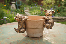 Load image into Gallery viewer, Polyresin pair of bronze coloured pigs pot hangers
