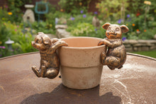 Load image into Gallery viewer, Polyresin pair of bronze coloured pigs pot hangers
