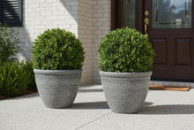 Load image into Gallery viewer, 2 x Wentworth black and white coloured flower pots - Marissa's Garden &amp; Gift
