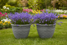 Load image into Gallery viewer, 2 x Wentworth black and white coloured flower pots - Marissa's Garden &amp; Gift
