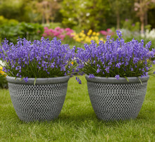 Load image into Gallery viewer, 2 x Wentworth black and white coloured flower pots - Marissa's Garden &amp; Gift
