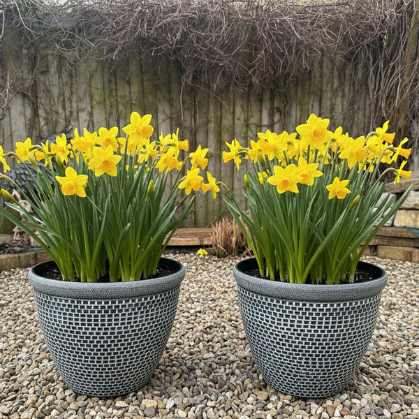2 x Wentworth black and white coloured flower pots - Marissa's Garden & Gift
