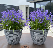Load image into Gallery viewer, 2 x Wentworth black and white coloured flower pots - Marissa's Garden &amp; Gift
