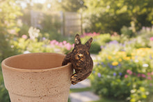 Afbeelding in Gallery-weergave laden, Polyresin pair of bronze coloured rabbit pot hangers

