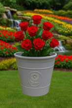 Load image into Gallery viewer, Sunflower coloured grey flower pot available in two sizes made out of recycled plastic - Marissa&#39;s Garden &amp; Gift
