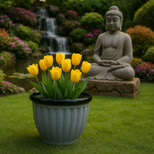 Afbeelding in Gallery-weergave laden, Badminton grey pot planter - Marissa&#39;s Garden &amp; Gift
