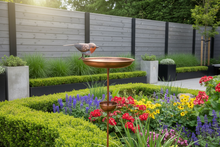 Laden Sie das Bild in den Galerie-Viewer, Robin bird feeder bronze powder coated for garden/outdoor space
