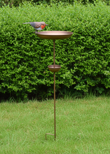 Laden Sie das Bild in den Galerie-Viewer, Robin bird feeder bronze powder coated for garden/outdoor space
