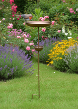 Laden Sie das Bild in den Galerie-Viewer, Robin bird feeder bronze powder coated for garden/outdoor space
