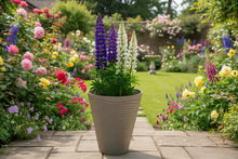 Load image into Gallery viewer, 55cm Piccadilly white coloured flower pot
