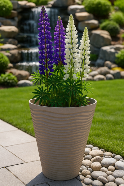 55cm Piccadily white coloured flower pot - Marissa's Garden & Gift