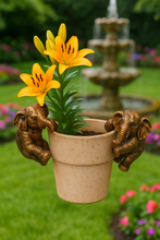 Load image into Gallery viewer, Polyresin pair of bronze coloured elephant pot hangers - Marissa's Garden &amp; Gift
