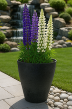 Load image into Gallery viewer, 27cm Buckingham dark grey coloured flower pot - Marissa&#39;s Garden &amp; Gift
