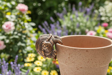 Load image into Gallery viewer, Polyresin pair of bronze coloured turtle pot hangers
