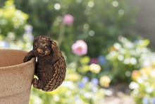 Laden Sie das Bild in den Galerie-Viewer, Polyresin pair of bronze coloured hedgehog pot hangers
