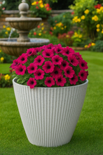 Charger l&#39;image dans la galerie, 30cm Hampton white coloured flower pot - Marissa&#39;s Garden &amp; Gift
