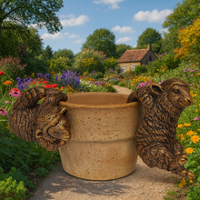 Load image into Gallery viewer, Polyresin pair of bronze coloured sheep pot hangers - Marissa's Garden &amp; Gift
