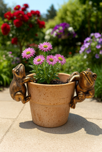 Load image into Gallery viewer, Polyresin pair of bronze coloured frog pot hangers - Marissa's Garden &amp; Gift
