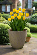 Charger l&#39;image dans la galerie, 27cm Buckingham sand coloured flower pot - Marissa&#39;s Garden &amp; Gift
