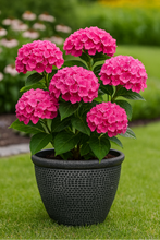 Afbeelding in Gallery-weergave laden, Wentworth black and silver coloured flower pot - Marissa&#39;s Garden &amp; Gift
