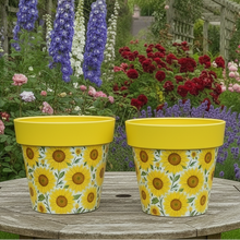 Load image into Gallery viewer, Sunflowers pot full of sunflowers height 26cm x 2 - Marissa's Garden &amp; Gift
