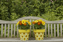 Load image into Gallery viewer, Sunflowers pot full of sunflowers height 26cm x 2 - Marissa's Garden &amp; Gift
